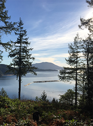 Cedar Bluff View